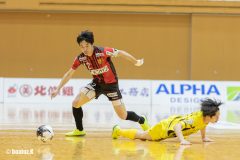 W0A6196